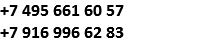 +7 495 661 60 57
+7 916 996 62 83